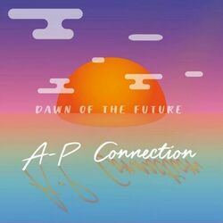 Picture of A-P Connection