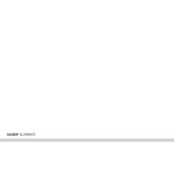 Picture of Gaiser