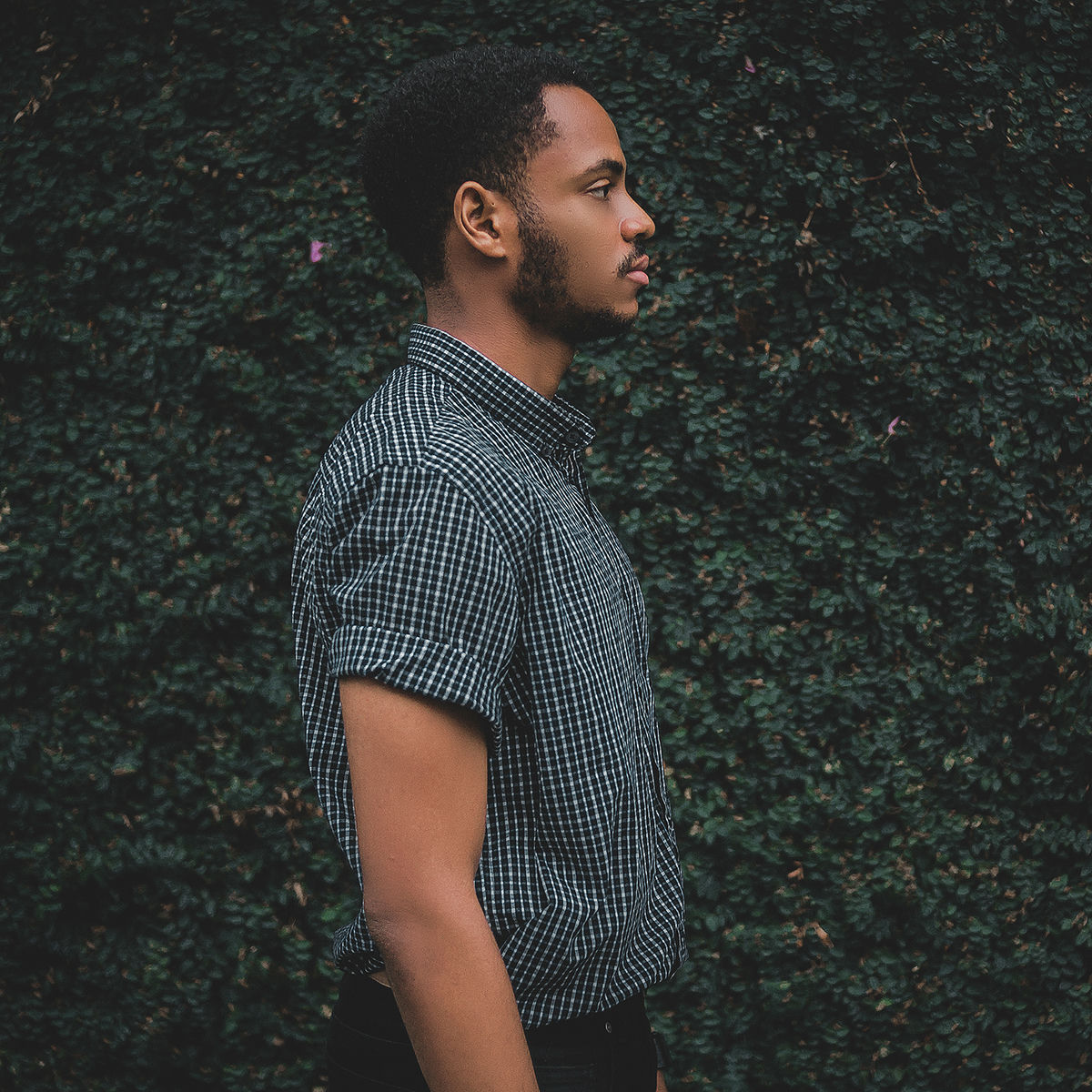 Artist picture of Ogranya