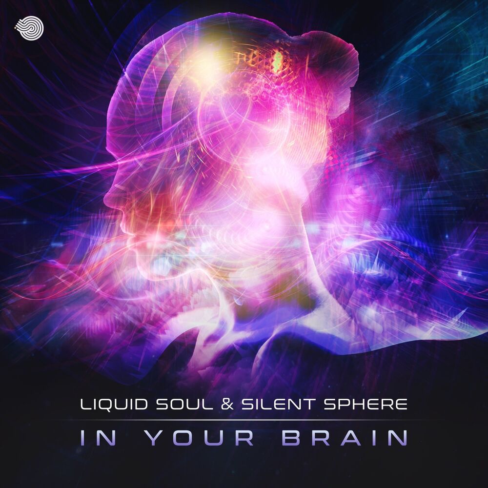 Picture of Silent Sphere