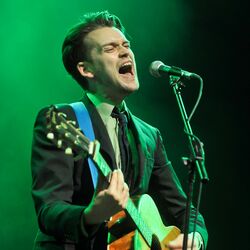Picture of Guillemots