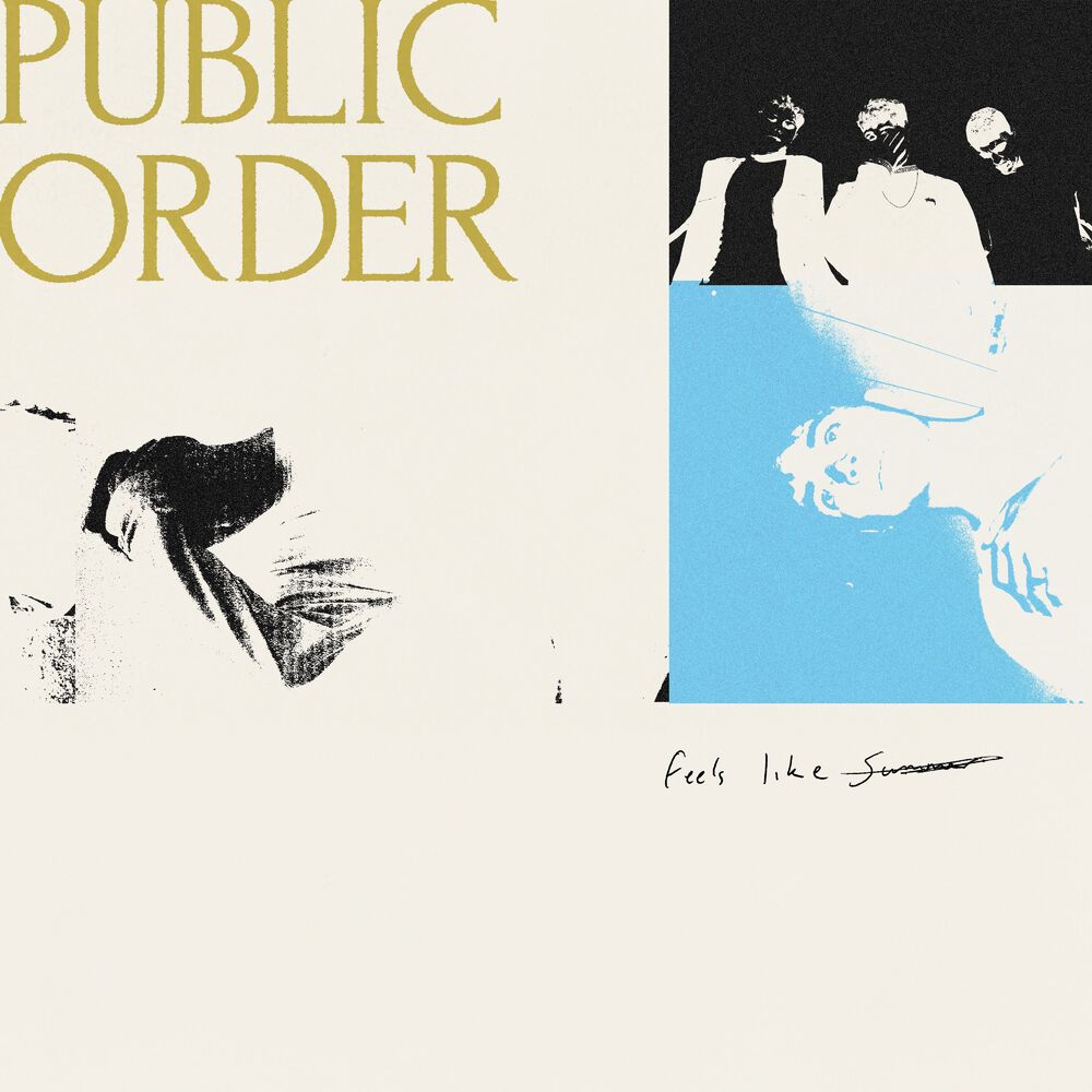 Picture of Public Order