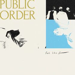 Picture of Public Order