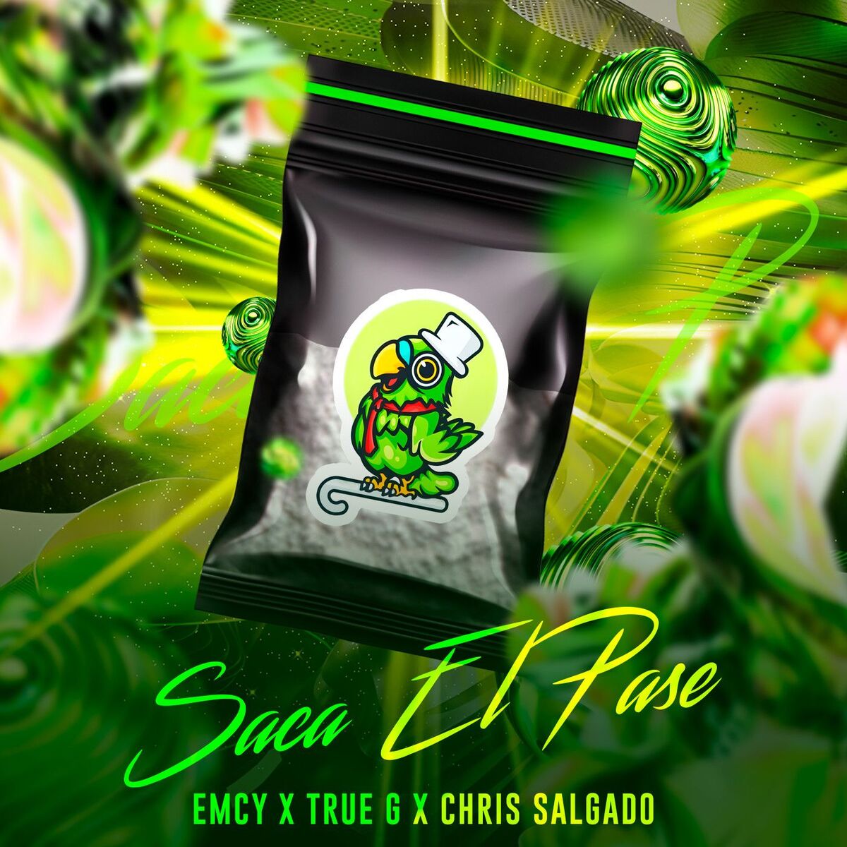 Chris Salgado