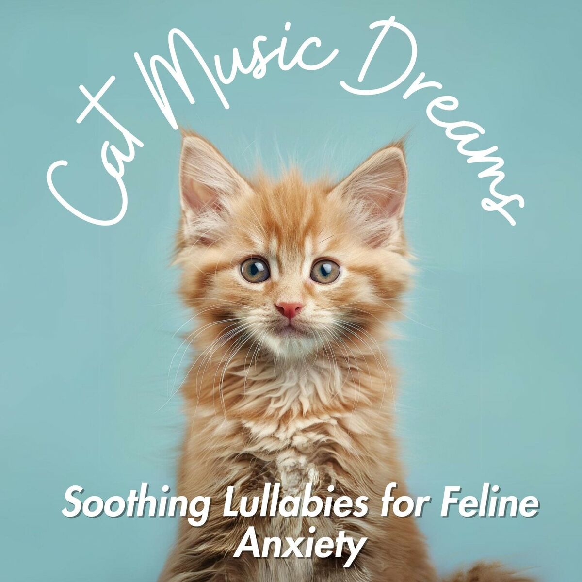 Musik von Relax My Cat Alben Lieder Songtexte Auf Deezer horen