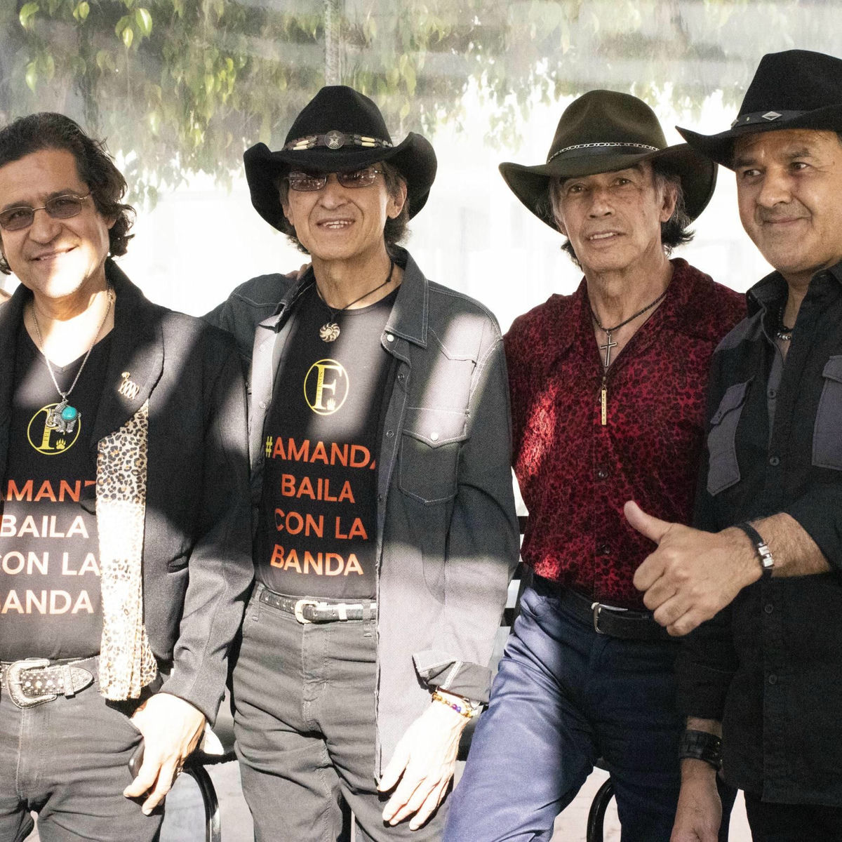 Los Felinos