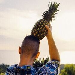 Picture of Fruchtmax