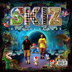 Picture of SKIZ