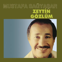 Picture of Mustafa Sağyaşar
