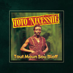 Picture of Toto Nécessité