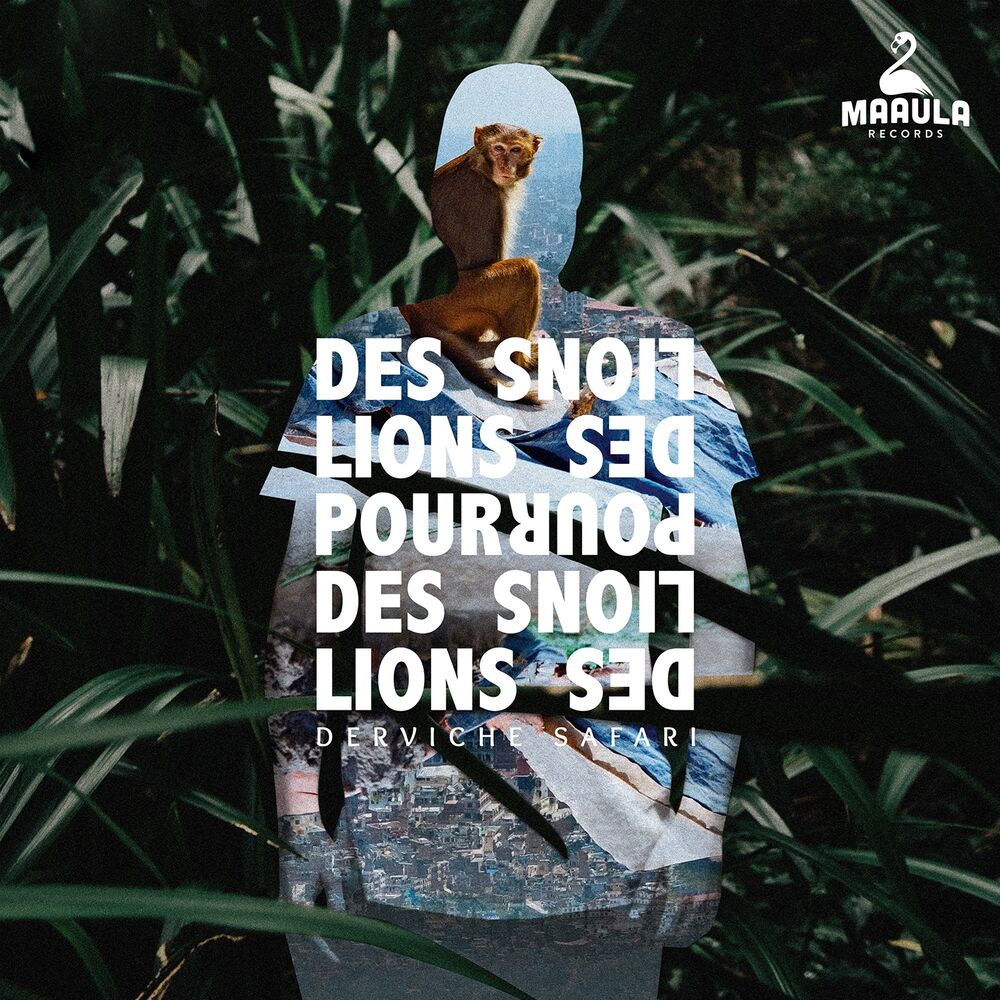 Picture of Des Lions Pour Des Lions