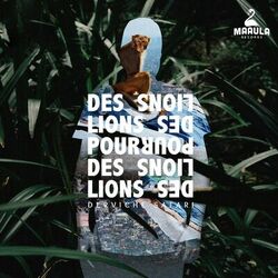 Picture of Des Lions Pour Des Lions