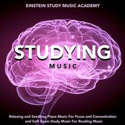Picture of Einstein Study Music Academy