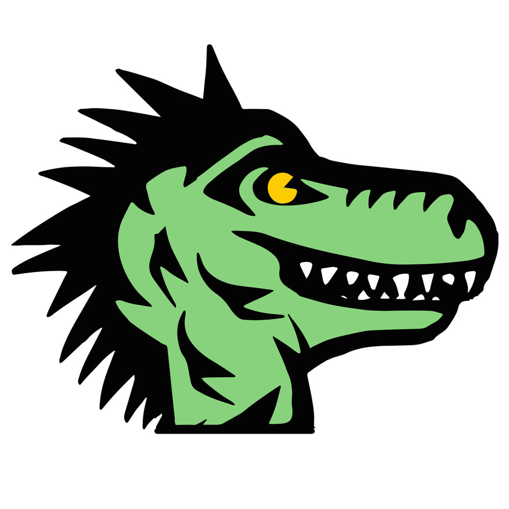 Picture of Punkzilla!