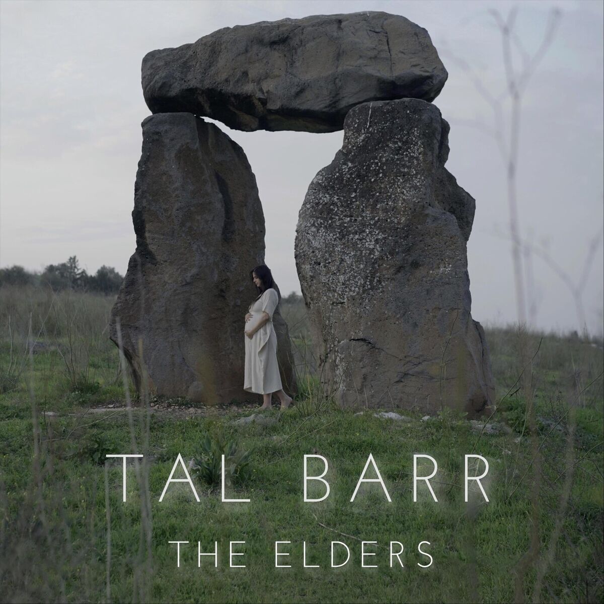 Tal Barr
