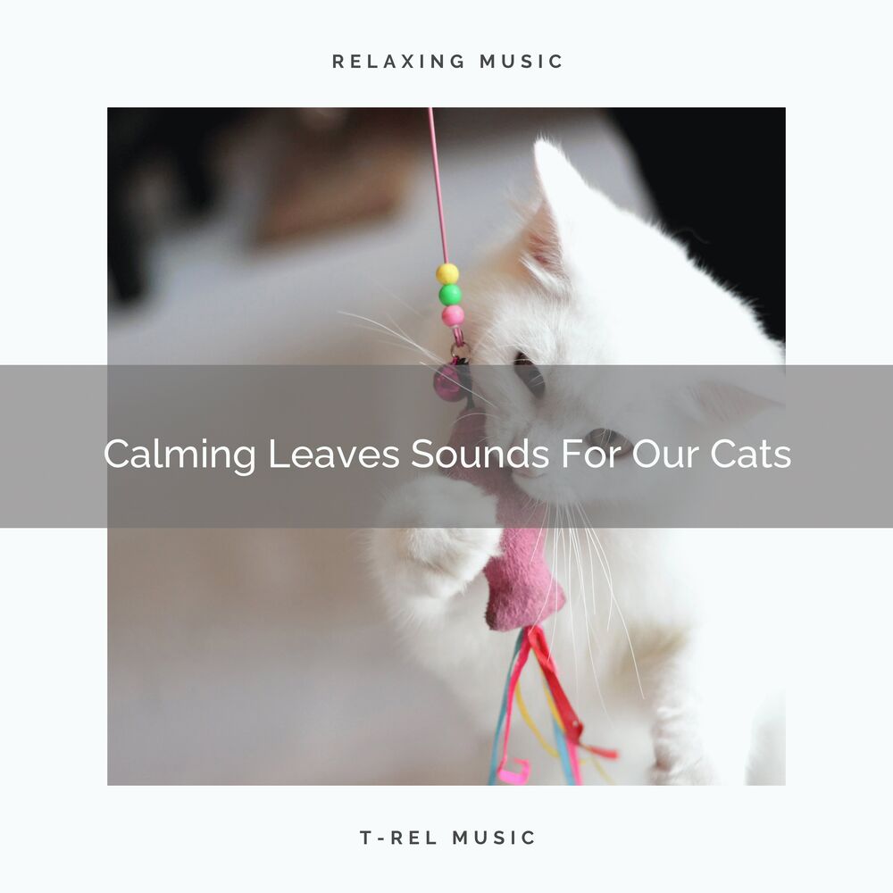 Picture of Cats Music Cradle