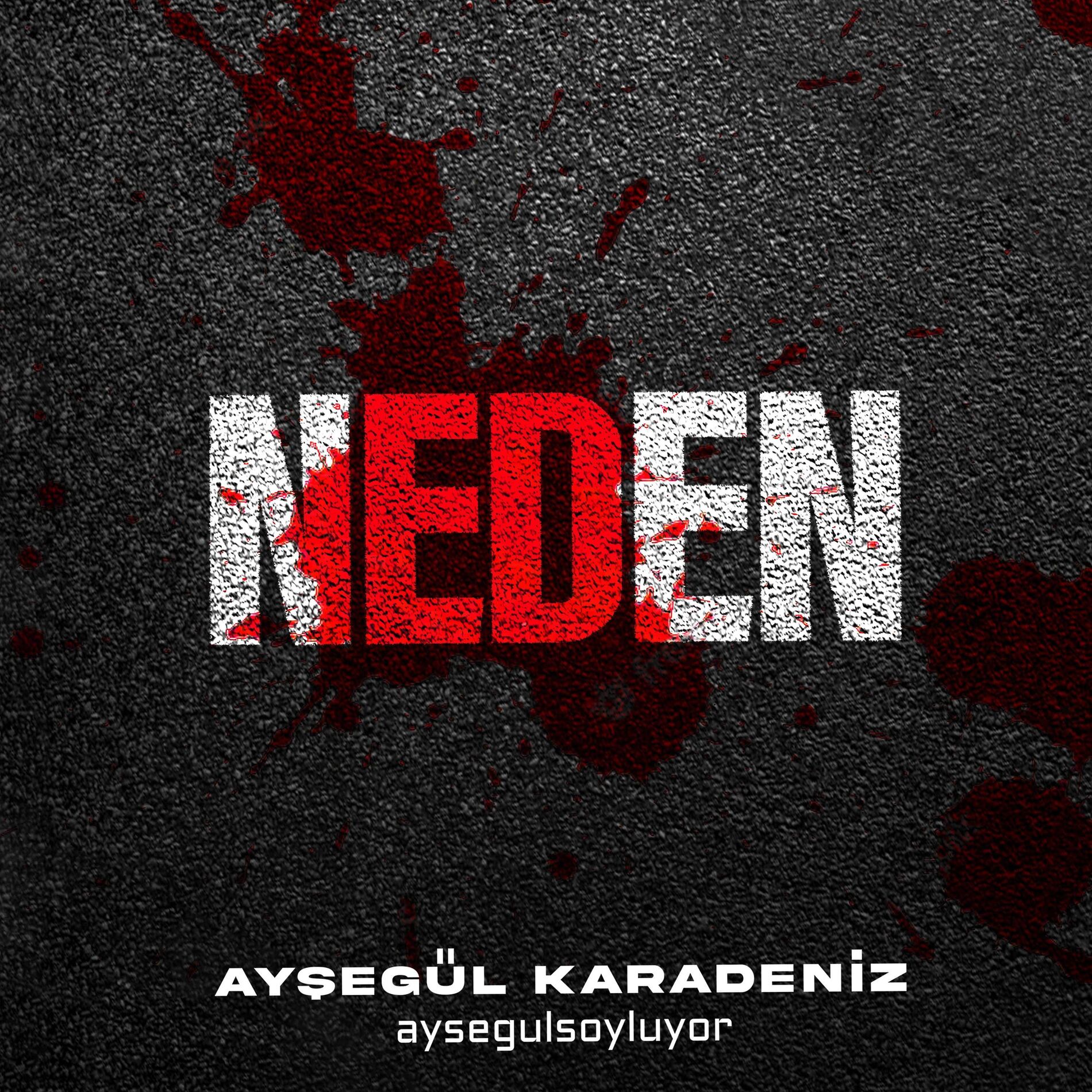 Aysegulsoyluyor