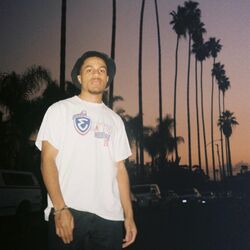 frank Sativa