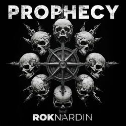 Picture of Rok Nardin