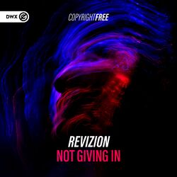 Picture of Revizion