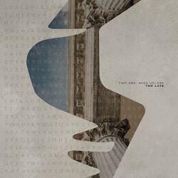 Picture of Aves Volare