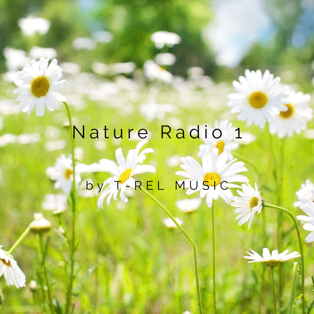 Picture of Nature Radio 1