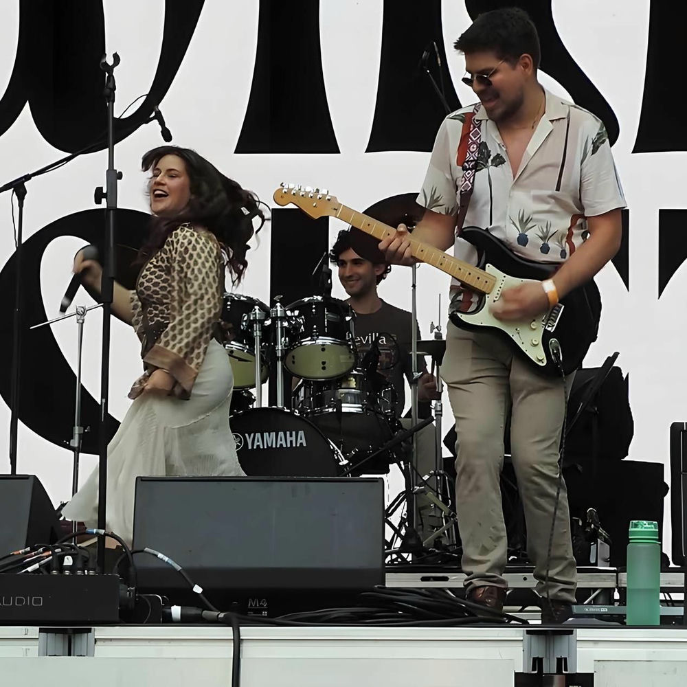 Photo de l'artiste The WildViolets