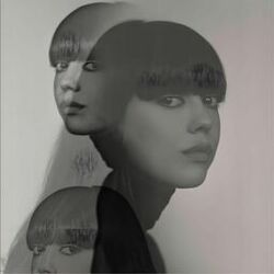 Picture of Diane Birch