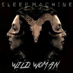 Picture of Sleep Machine