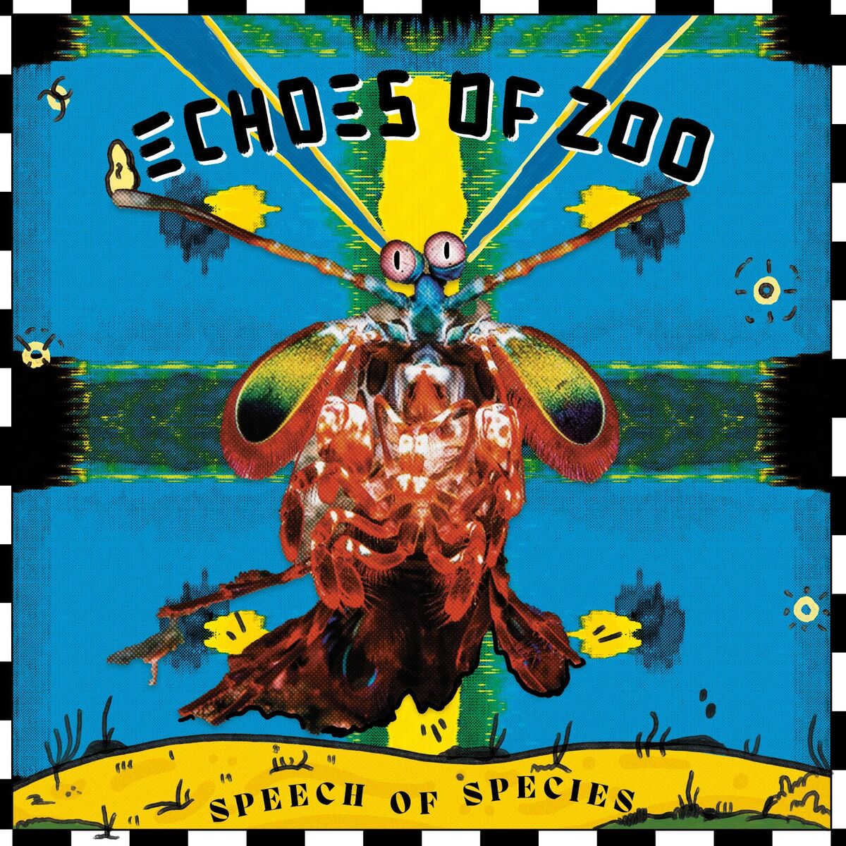 Echoes of Zoo