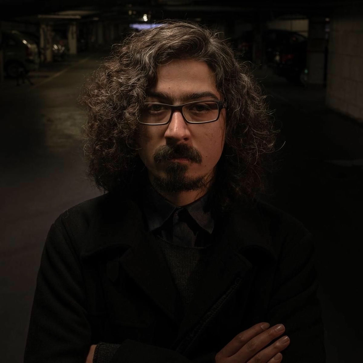 Artist picture of Siavash Amini