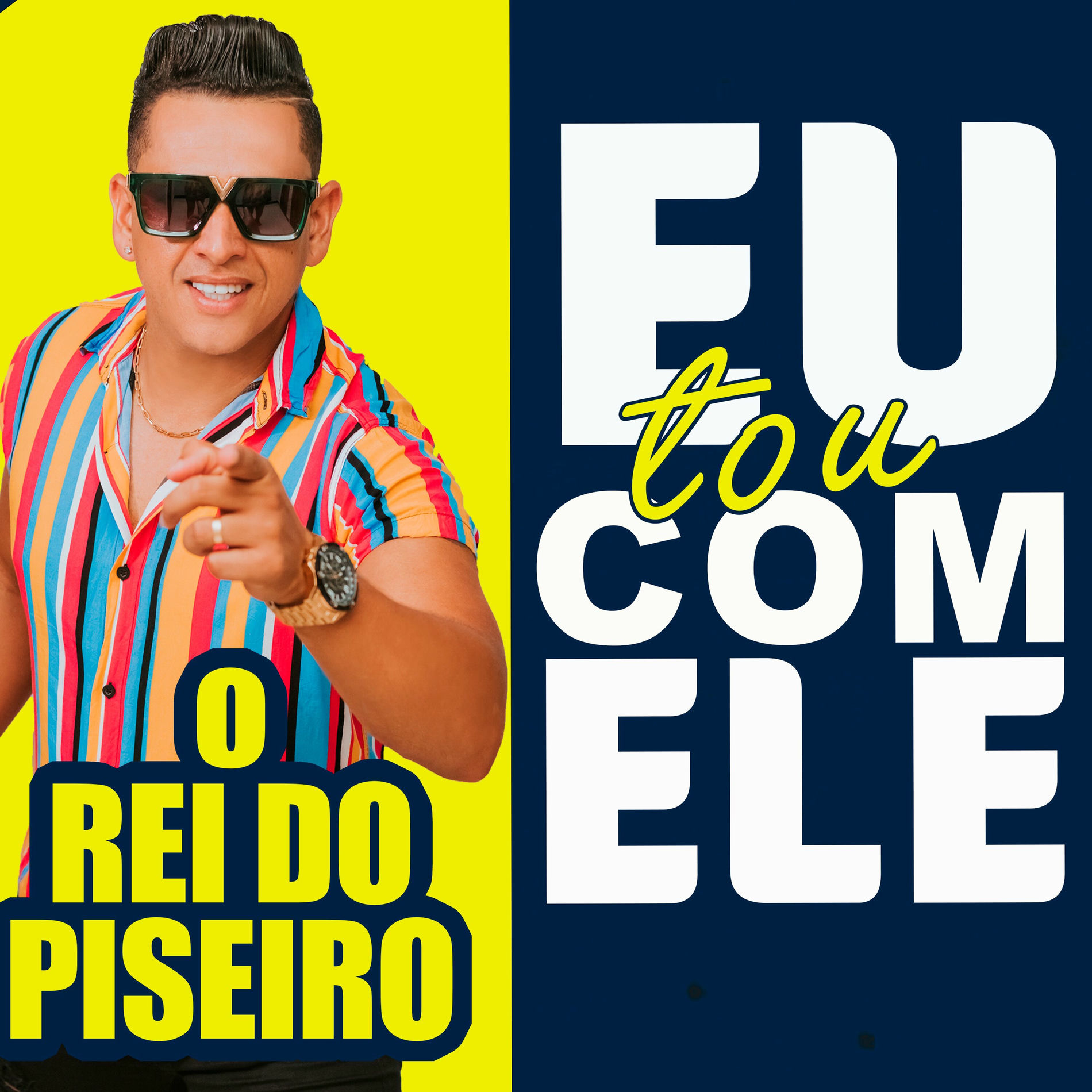 Artist picture of O Rei Do Piseiro