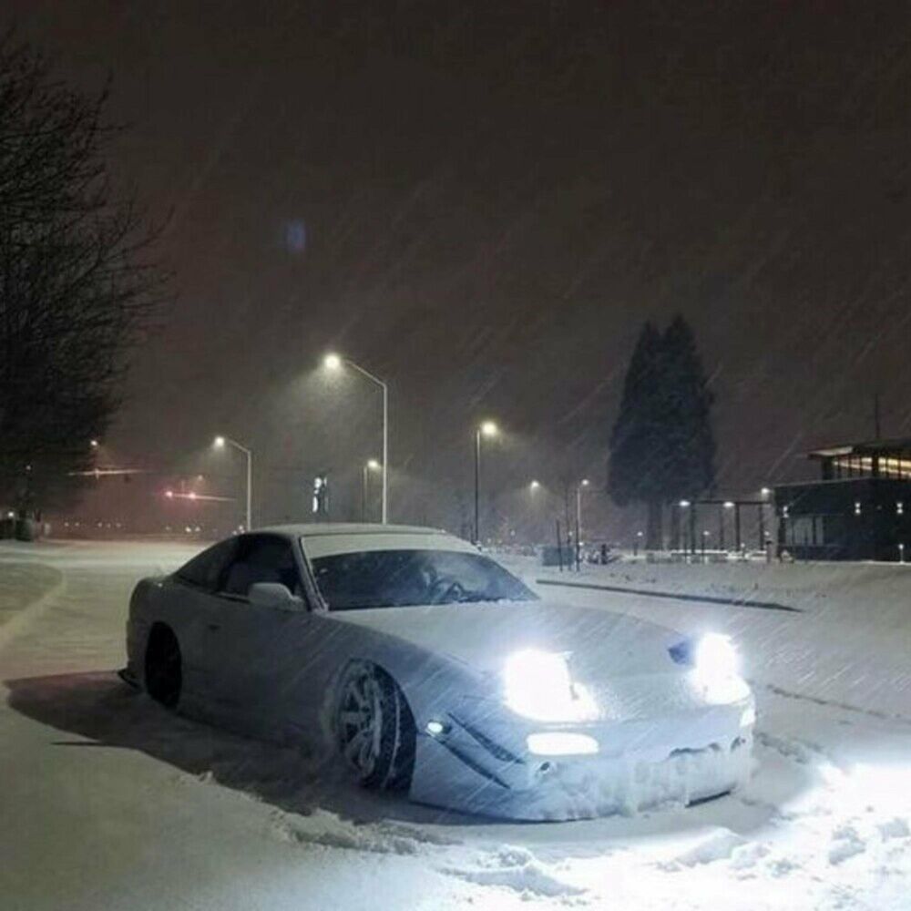 Picture of POLARMANE