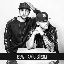 Picture of Bsw