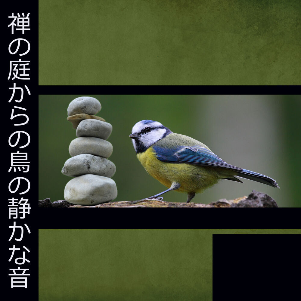 Picture of 自然の音と音楽