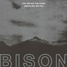 Bison