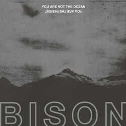 Picture of Bison