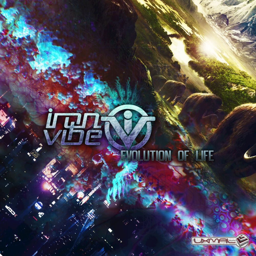 Picture of Iron Vibe