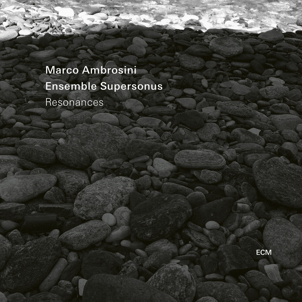 Picture of Marco Ambrosini