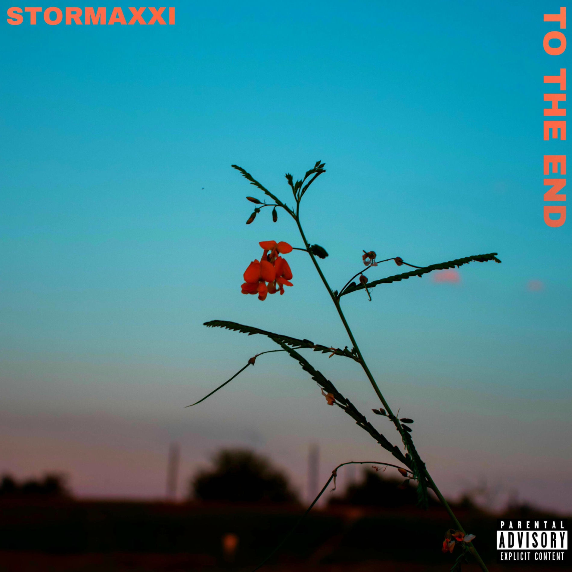 Artist picture of Stormaxxi