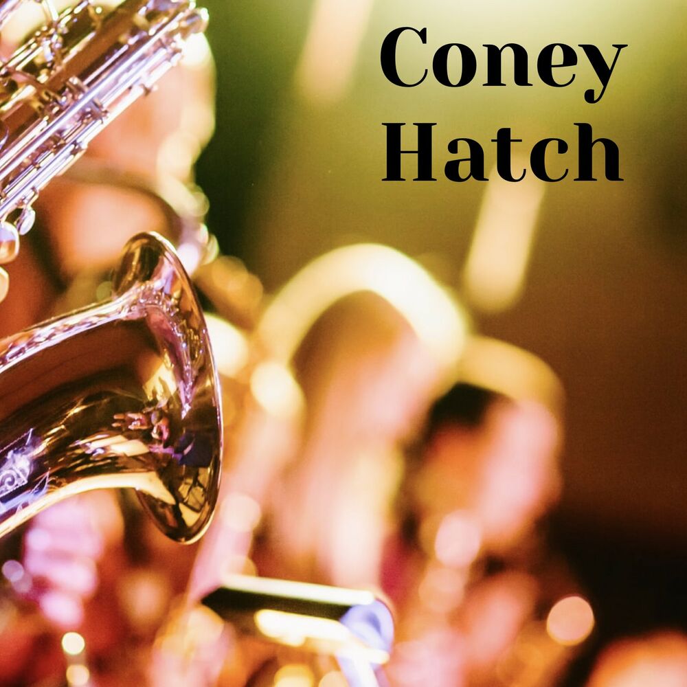 Picture of Coney Hatch