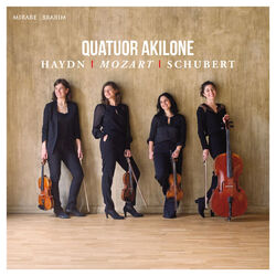Picture of Quatuor Akilone
