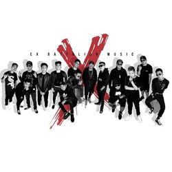 Picture of Ex Battalion