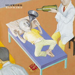 Picture of Silkworm
