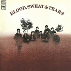 Picture of Blood, Sweat & Tears