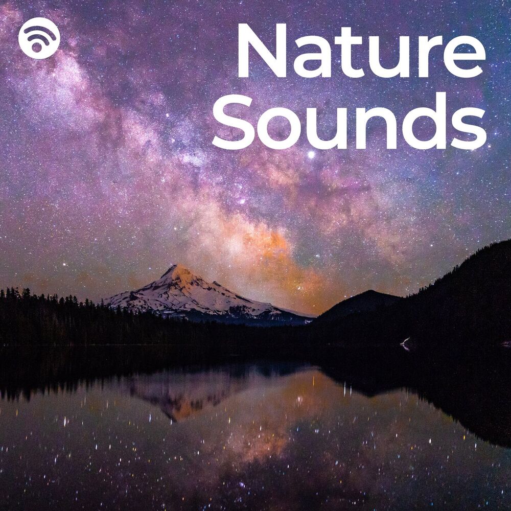 Picture of Nature Dreams