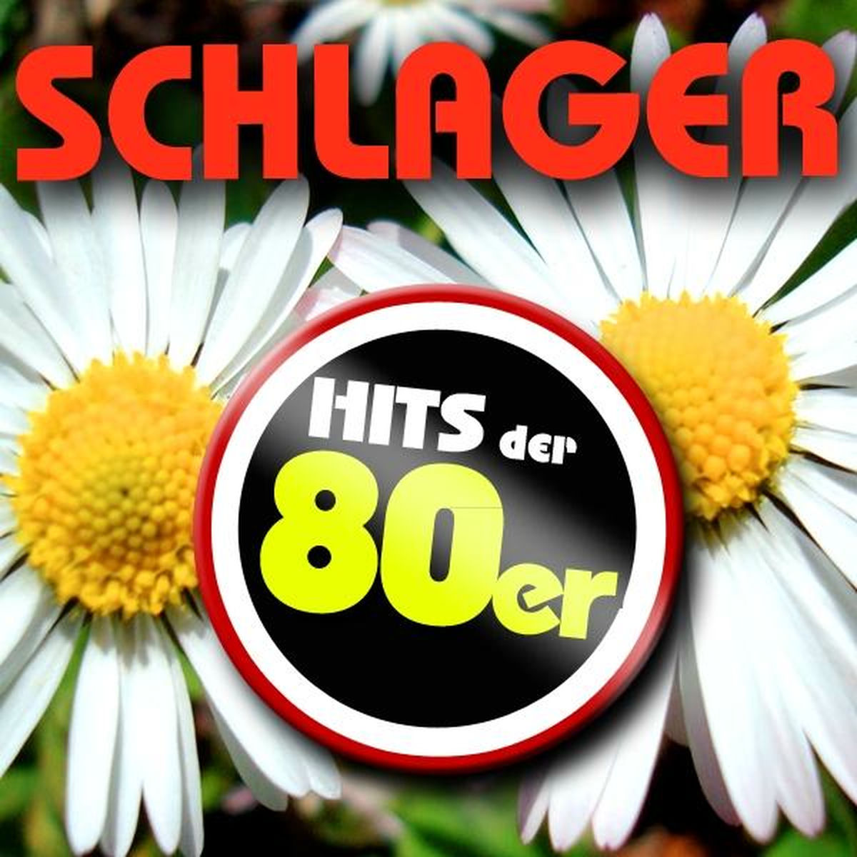 Schlagerpalast Ensemble