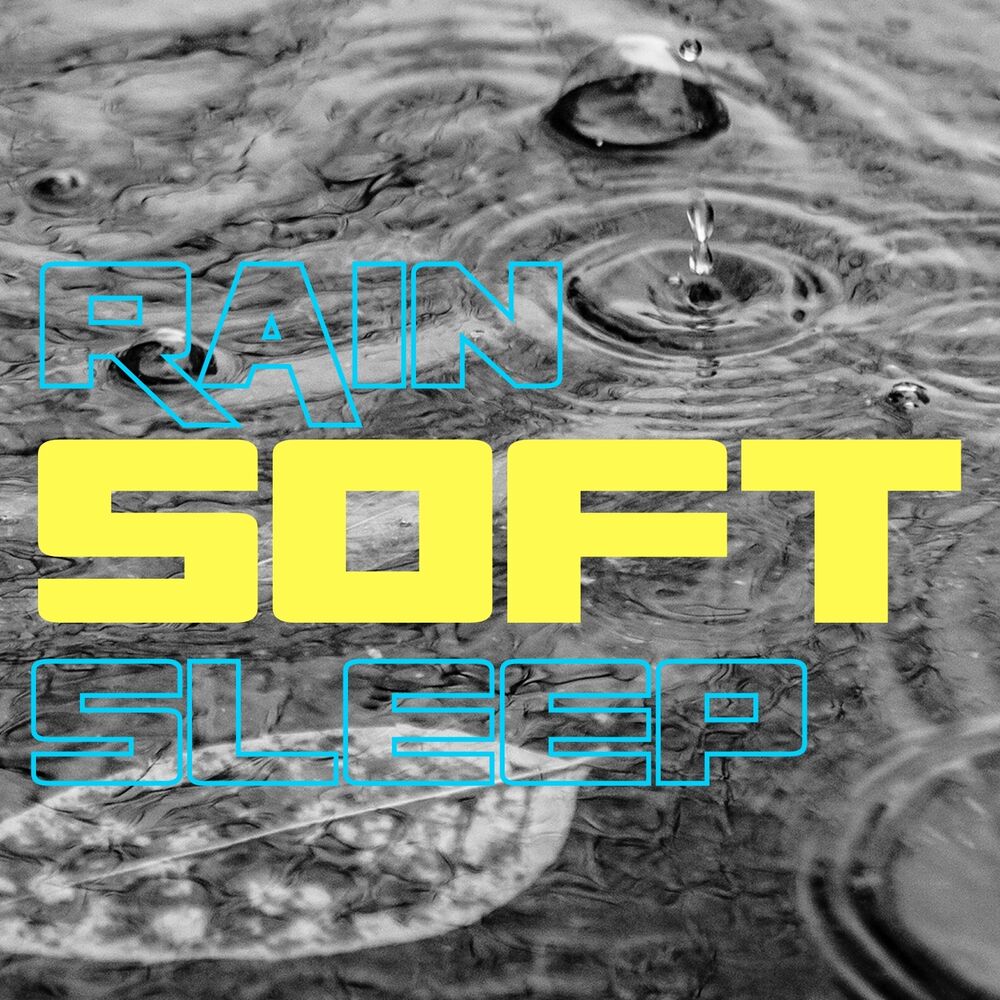 Picture of The Rain Sounds Nature Experts