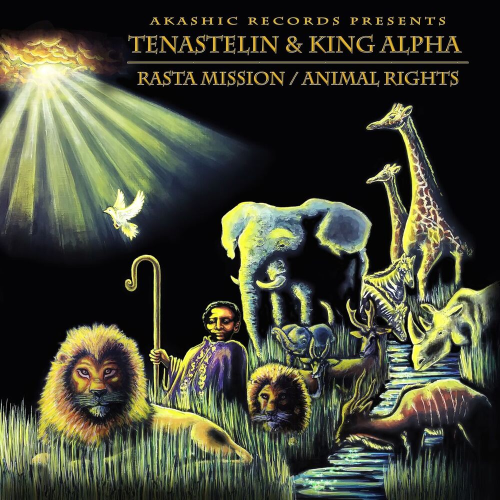 Picture of Tenastelin