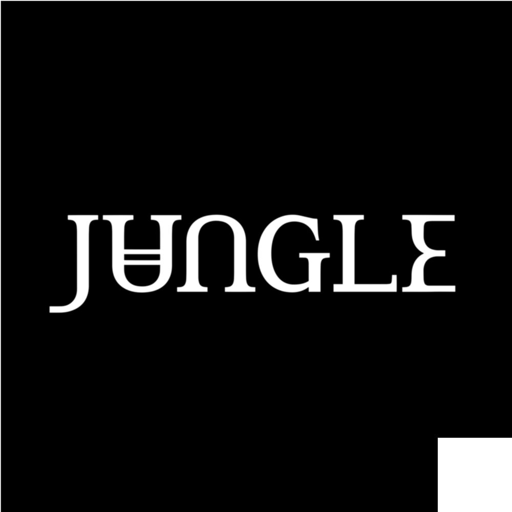 Photo de l'artiste Jungle
